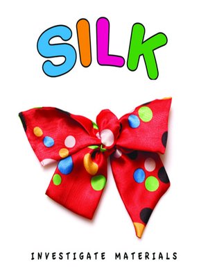 cover image of Silk